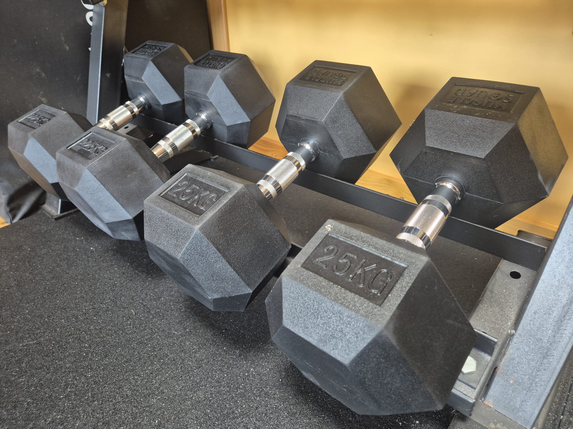 Free weights and dumbbells